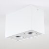 Plafonnier Baishan LED Blanc, 2 lumières