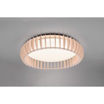 Plafonnier Reality Monte LED Blanc, 1 lumière, Télécommandes