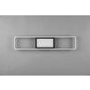 Plafonnier Reality Rigido LED Noir, 1 lumière, Télécommandes