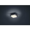 Decken- Luminaires Trio LED Anthracite, 1 lumière