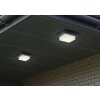 Decken- Luminaires Trio LED Anthracite, 1 lumière