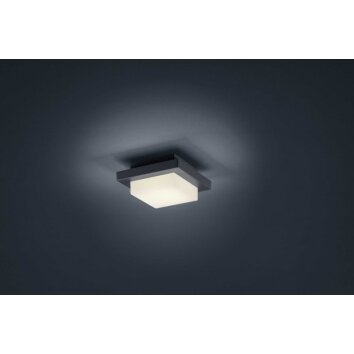 Decken- Plafonnier, Applique murale Luminaires Trio LED Anthracite, 1 lumière Decken- Plafonnier, Applique murale Luminaires Trio LED Anthracite, 1 lumière