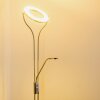 Lampadaire à vasque Donna LED Nickel mat, 1 lumière