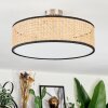 Foggia Plafonnier Nickel mat, 3 lumières