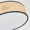 Foggia Plafonnier Nickel mat, 3 lumières