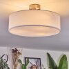 Foggia Plafonnier Nickel mat, 3 lumières