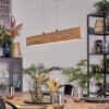 Fugelsta Suspension, Suspension LED Noir, 1 lumière
