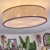 Foggia Plafonnier Nickel mat, 3 lumières