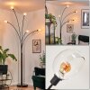 Nikkala Lampadaire Noir, 5 lumières