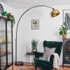 Baloca Lampadaire Noir, 1 lumière
