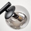 Chehalis Plafonnier, Boule lumineuse Ambre, Fumé, 3 lumières