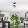 Edain Plafonnier, Spot de plafond LED Chrome, Nickel mat, 1 lumière