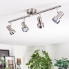Edain Plafonnier, Spot de plafond LED Chrome, Nickel mat, 4 lumières Edain Plafonnier, Spot de plafond LED Chrome, Nickel mat, 4 lumières