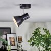 Farel Plafonnier, Spot de plafond Chrome, Noir, 1 lumière