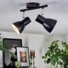 Farel Plafonnier, Spot de plafond Chrome, Noir, 2 lumières