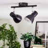 Farel Plafonnier, Spot de plafond Chrome, Noir, 2 lumières