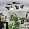 Farel Plafonnier, Spot de plafond Chrome, Noir, 4 lumières