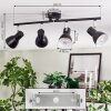 Farel Plafonnier, Spot de plafond Chrome, Noir, 4 lumières
