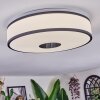 Elran Plafonnier LED Blanc, 1 lumière