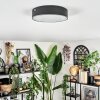Elmar Plafonnier LED Noir, 1 lumière