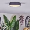 Elmar Plafonnier LED Noir, 1 lumière