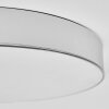 Elmar Plafonnier LED Argenté, 1 lumière