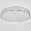 Elmar Plafonnier LED Argenté, 1 lumière