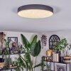 Elmar Plafonnier LED Noir, 1 lumière