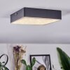 Esmar Plafonnier LED Noir, 1 lumière Esmar Plafonnier LED Noir, 1 lumière