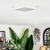 Esmar Plafonnier LED Blanc, 1 lumière