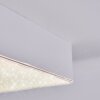 Esmar Plafonnier LED Blanc, 1 lumière