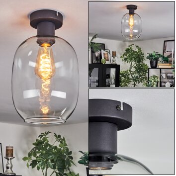 Apedo Plafonnier Clair, 1 lumière