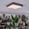 Esmar Plafonnier LED Noir, 1 lumière
