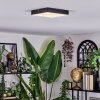Esmar Plafonnier LED Noir, 1 lumière