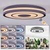 Ganor Plafonnier LED Noir, Blanc, 1 lumière, Télécommandes