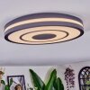 Ganor Plafonnier LED Noir, Blanc, 1 lumière, Télécommandes