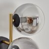 Gastor Boule lumineuse, Applique murale Or, Noir, 3 lumières