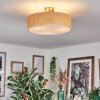 Foggia Plafonnier Nickel mat, 3 lumières