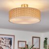 Foggia Plafonnier Nickel mat, 3 lumières