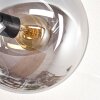 Gastor Plafonnier, Boule lumineuse Ambre, Clair, Fumé, 3 lumières
