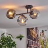 Gastor Plafonnier, Boule lumineuse Clair, Fumé, 3 lumières