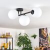 Gastor Plafonnier, Boule lumineuse Blanc, 3 lumières