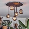 Chehalis Plafonnier, Boule lumineuse Fumé, 5 lumières