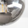 Chehalis Plafonnier, Boule lumineuse Fumé, 5 lumières
