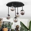 Chehalis Plafonnier, Boule lumineuse Fumé, 5 lumières