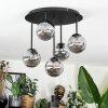 Chehalis Plafonnier, Boule lumineuse Fumé, 5 lumières