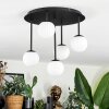 Chehalis Plafonnier, Boule lumineuse Blanc, 5 lumières