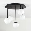 Chehalis Plafonnier, Boule lumineuse Blanc, 5 lumières