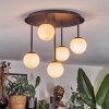 Chehalis Plafonnier, Boule lumineuse Blanc, 5 lumières