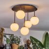 Chehalis Plafonnier, Boule lumineuse Blanc, 5 lumières